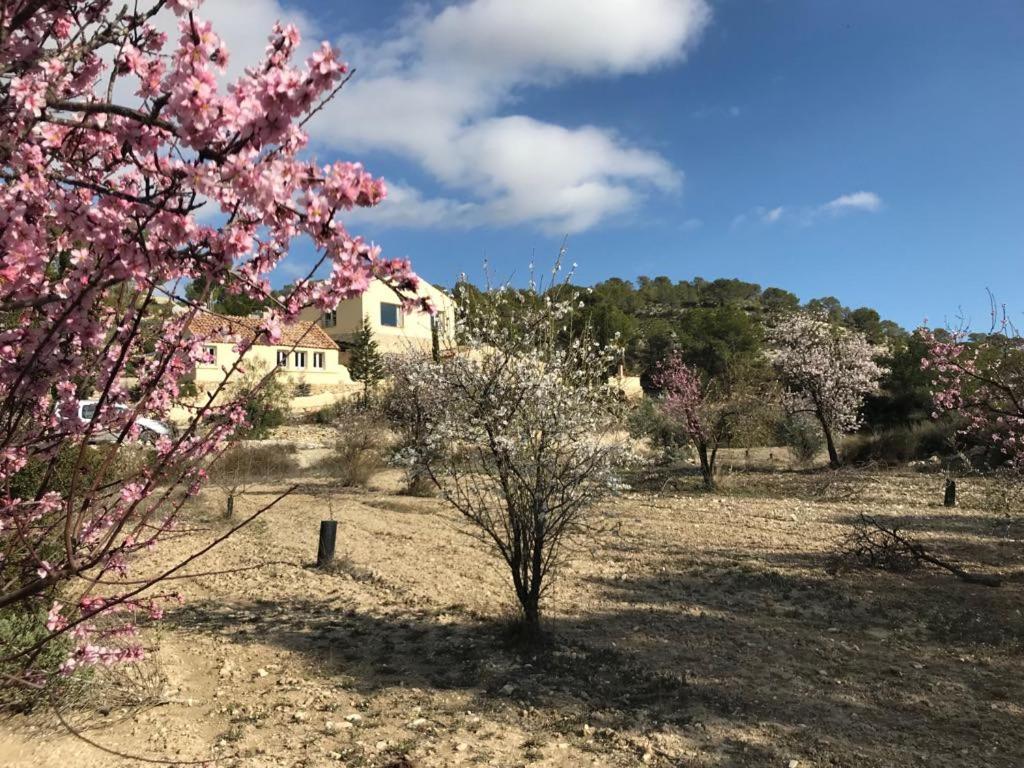 Finca Las Estrellas Relleu Ngoại thất bức ảnh